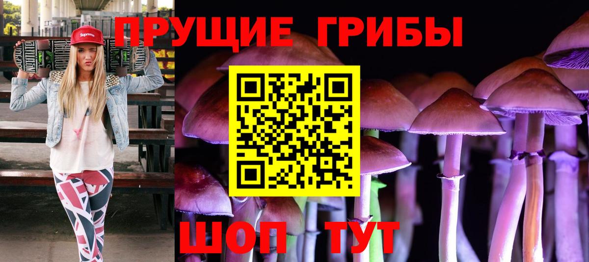 Псилоцибиновые грибы Psilocybe Рязань