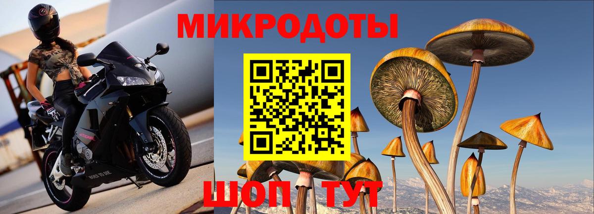 Рязань  Галлюциногенные грибы прущие грибы  Вход с VPN 